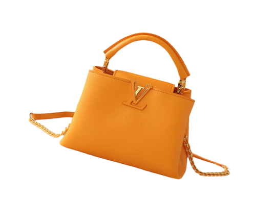 BAG LV orange